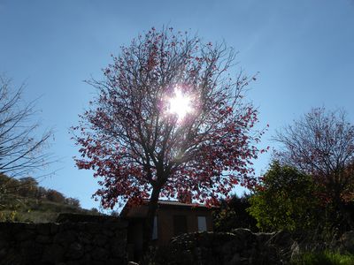 Contraluz
