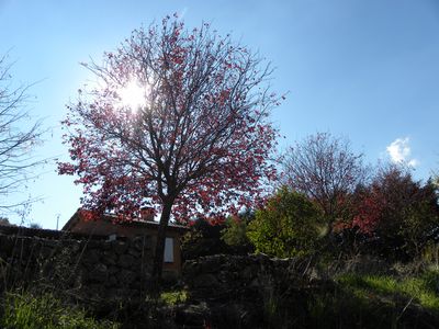 Contraluz
