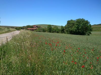 Foto49
