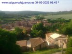 Recorre hacia atrás las últimas 24 horas
