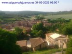 Recorre hacia atrás las últimas 24 horas
