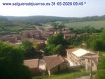 Recorre hacia atrás las últimas 24 horas
