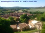 Recorre hacia atrás las últimas 24 horas
