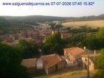 Recorre hacia atrás las últimas 24 horas
