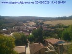 Recorre hacia atrás las últimas 24 horas
