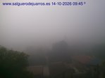 Recorre hacia atrás las últimas 24 horas

