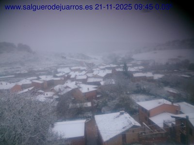 Recorre hacia atrás las últimas 24 horas
