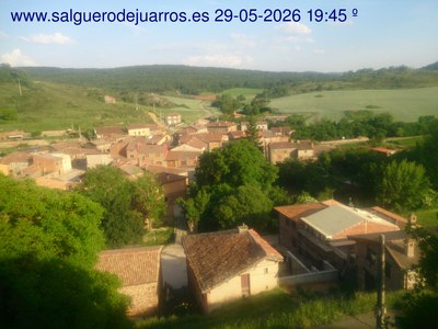 Recorre hacia atrás las últimas 24 horas
