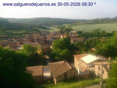 Recorre hacia atrás las últimas 24 horas

