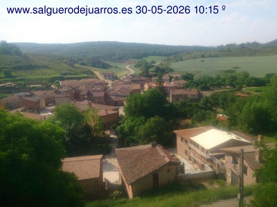 Recorre hacia atrás las últimas 24 horas
