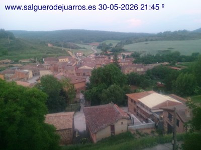 Recorre hacia atrás las últimas 24 horas
