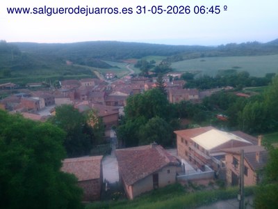 Recorre hacia atrás las últimas 24 horas
