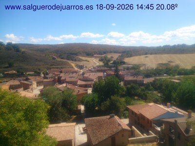Recorre hacia atrás las últimas 24 horas
