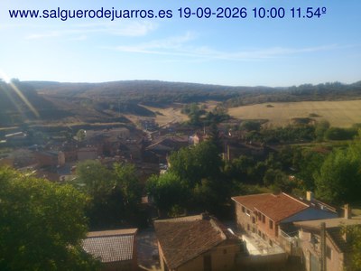 Recorre hacia atrás las últimas 24 horas
