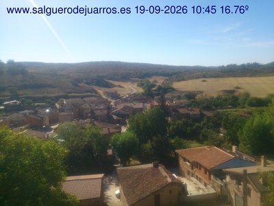 Recorre hacia atrás las últimas 24 horas
