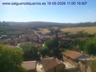 Recorre hacia atrás las últimas 24 horas
