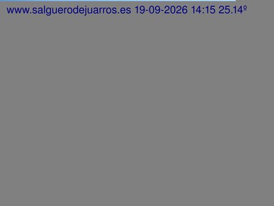 Recorre hacia atrás las últimas 24 horas
