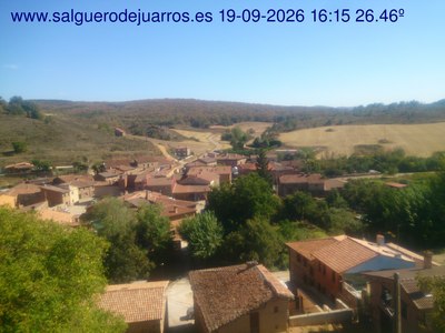 Recorre hacia atrás las últimas 24 horas
