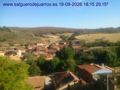 Recorre hacia atrás las últimas 24 horas
