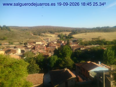 Recorre hacia atrás las últimas 24 horas
