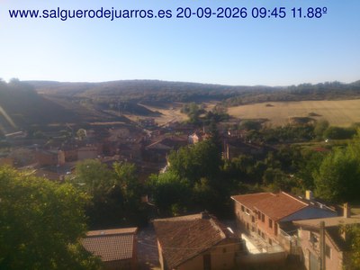 Recorre hacia atrás las últimas 24 horas

