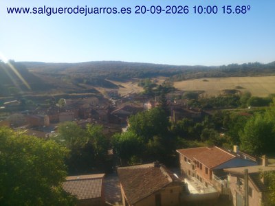 Recorre hacia atrás las últimas 24 horas
