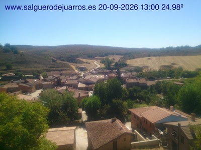 Recorre hacia atrás las últimas 24 horas
