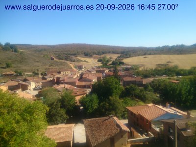 Recorre hacia atrás las últimas 24 horas

