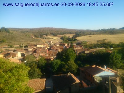 Recorre hacia atrás las últimas 24 horas
