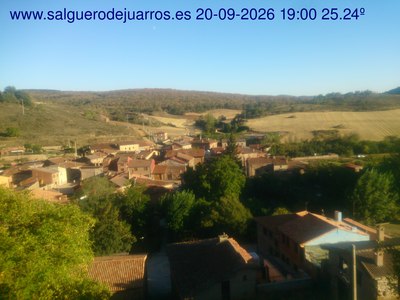 Recorre hacia atrás las últimas 24 horas
