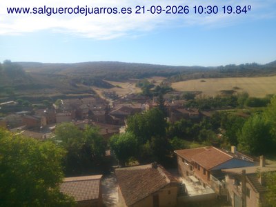 Recorre hacia atrás las últimas 24 horas

