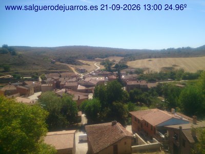 Recorre hacia atrás las últimas 24 horas
