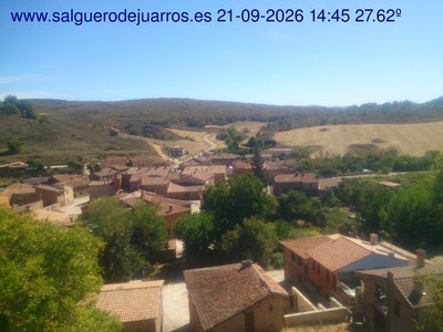 Recorre hacia atrás las últimas 24 horas

