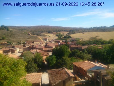 Recorre hacia atrás las últimas 24 horas
