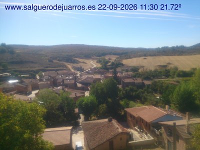 Recorre hacia atrás las últimas 24 horas
