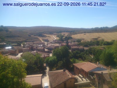 Recorre hacia atrás las últimas 24 horas
