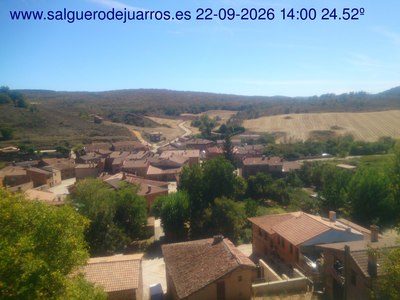 Recorre hacia atrás las últimas 24 horas
