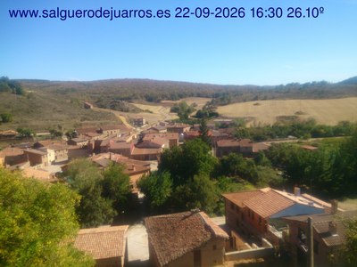 Recorre hacia atrás las últimas 24 horas
