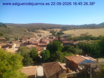 Recorre hacia atrás las últimas 24 horas
