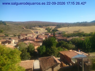 Recorre hacia atrás las últimas 24 horas
