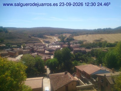 Recorre hacia atrás las últimas 24 horas
