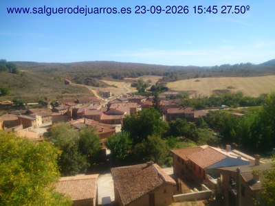 Recorre hacia atrás las últimas 24 horas
