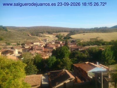 Recorre hacia atrás las últimas 24 horas
