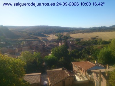 Recorre hacia atrás las últimas 24 horas
