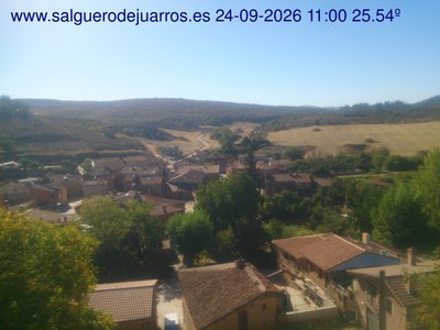 Recorre hacia atrás las últimas 24 horas

