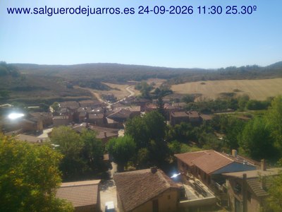 Recorre hacia atrás las últimas 24 horas
