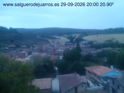 Recorre hacia atrás las últimas 24 horas
