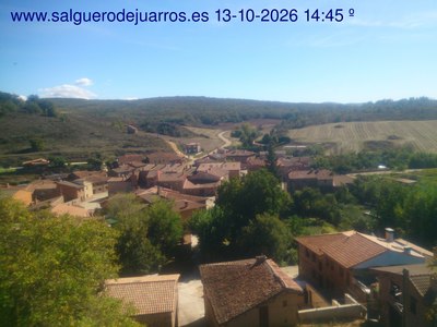Recorre hacia atrás las últimas 24 horas
